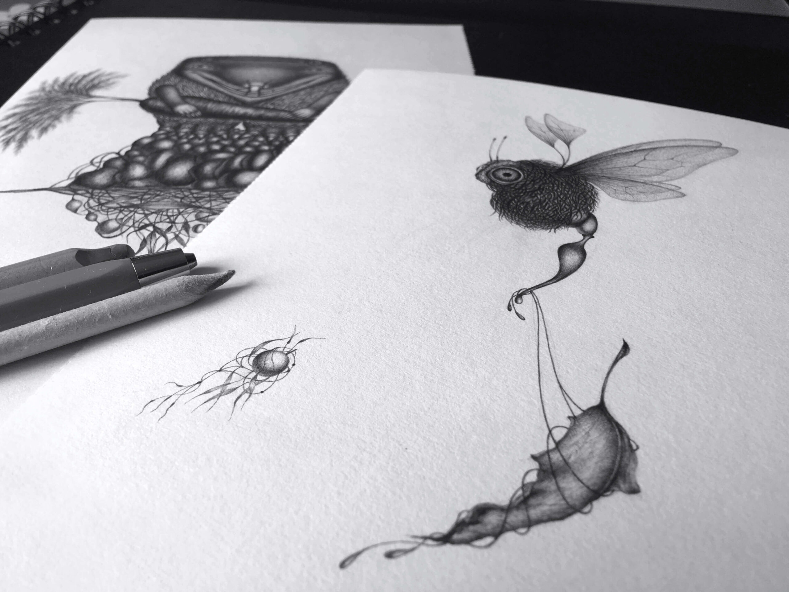 Иллюстрация бабочка